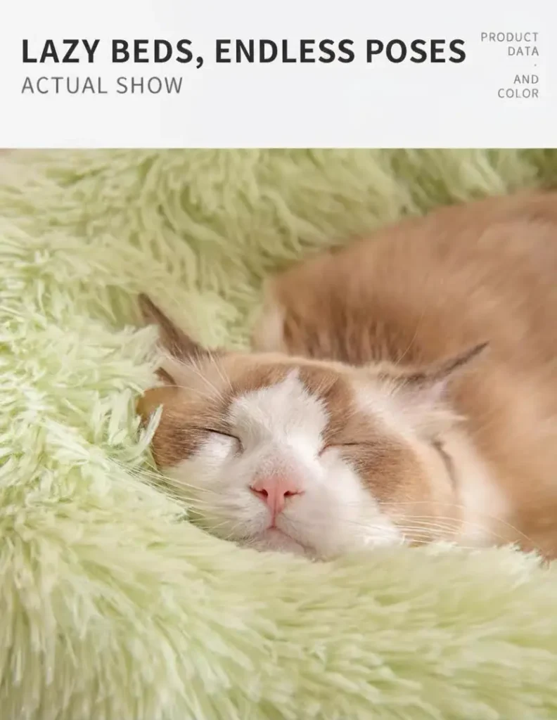 Cozy donut pet bed on floor with sleeping cat curled inside