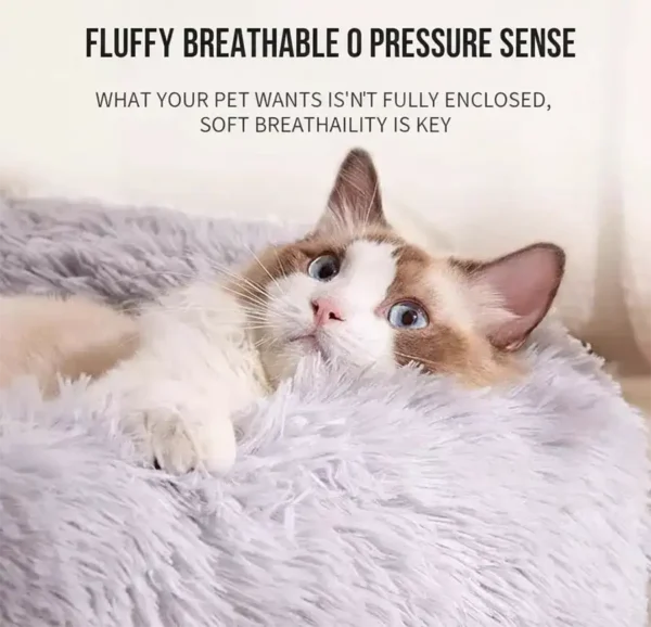 cozy-donut-pet- bed Cozy donut pet bed for cats and dogs with raised rim and plush center on wooden floor